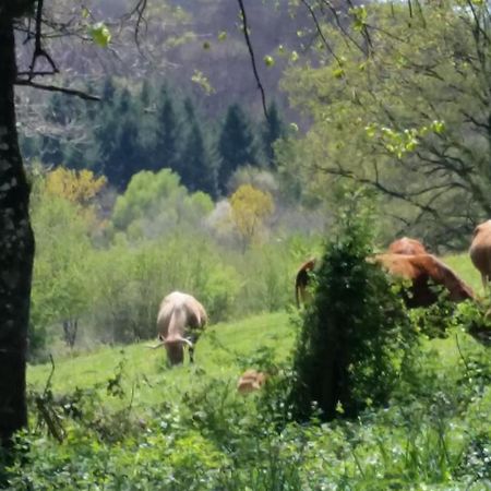 مبيت وإفطار Vabre-Tizac Combecave المظهر الخارجي الصورة
