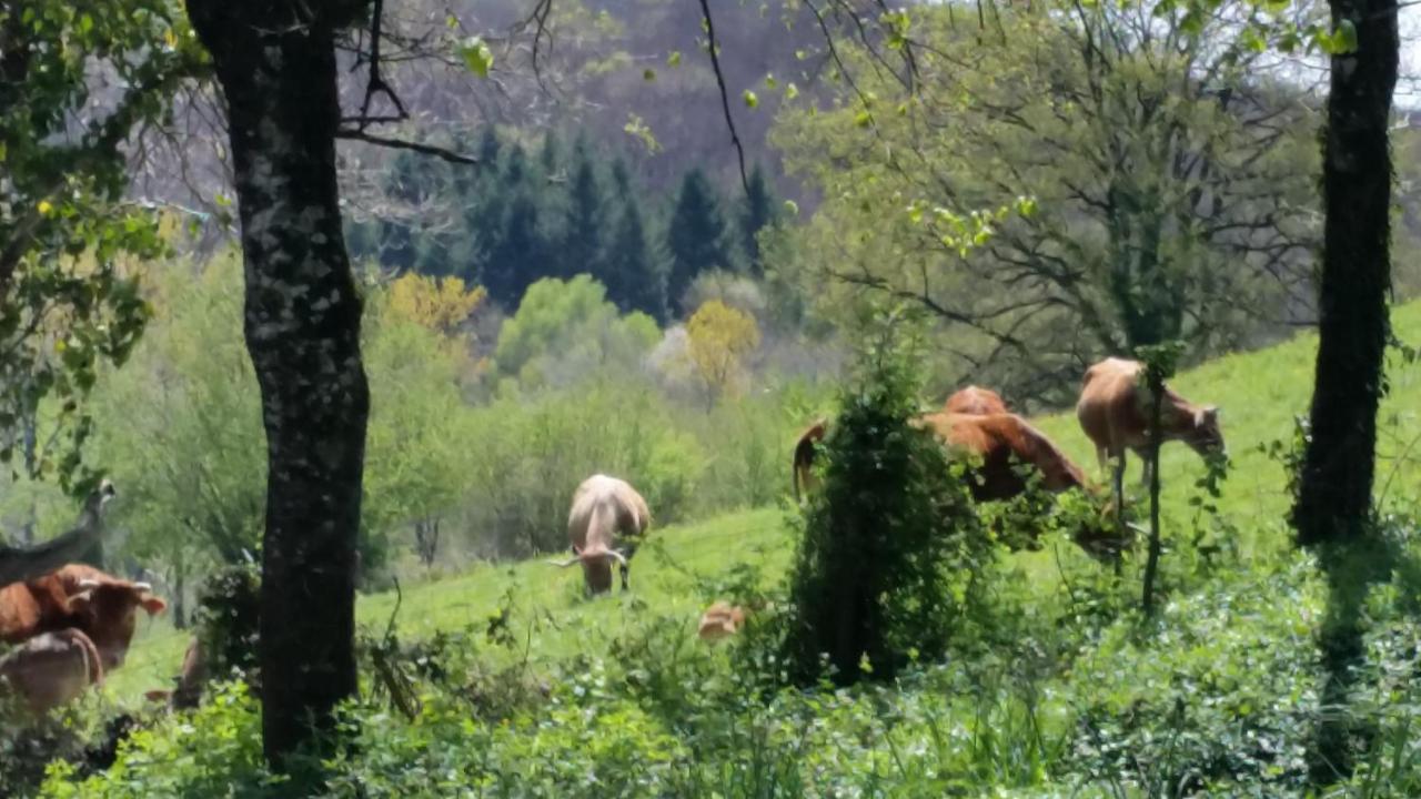 مبيت وإفطار Vabre-Tizac Combecave المظهر الخارجي الصورة